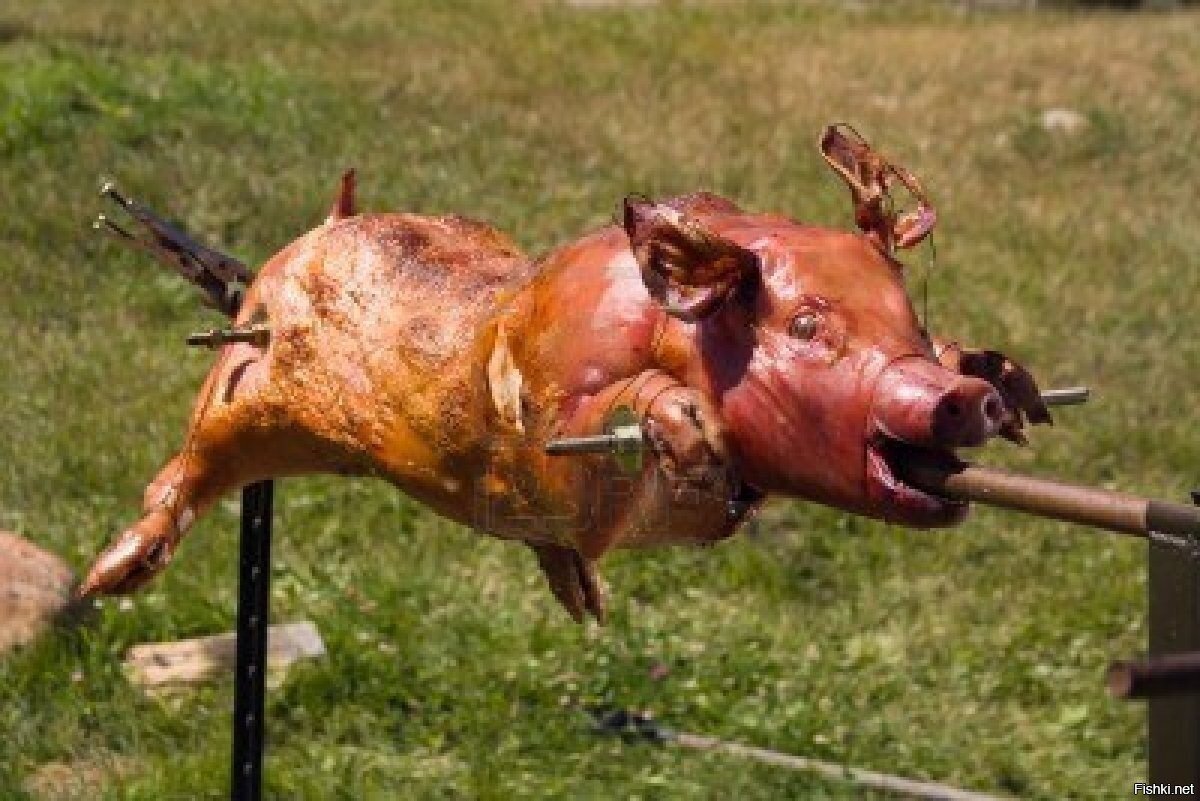 Мангал поросенок