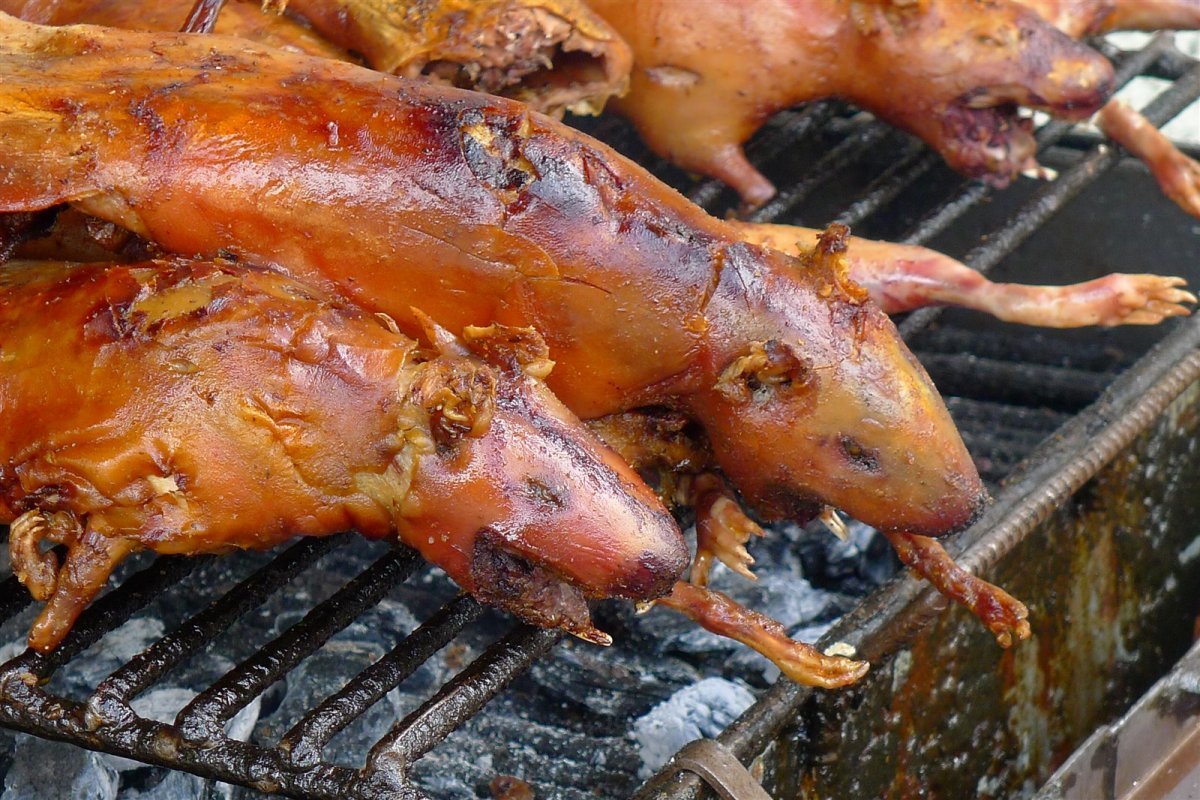 Жареный поросенок