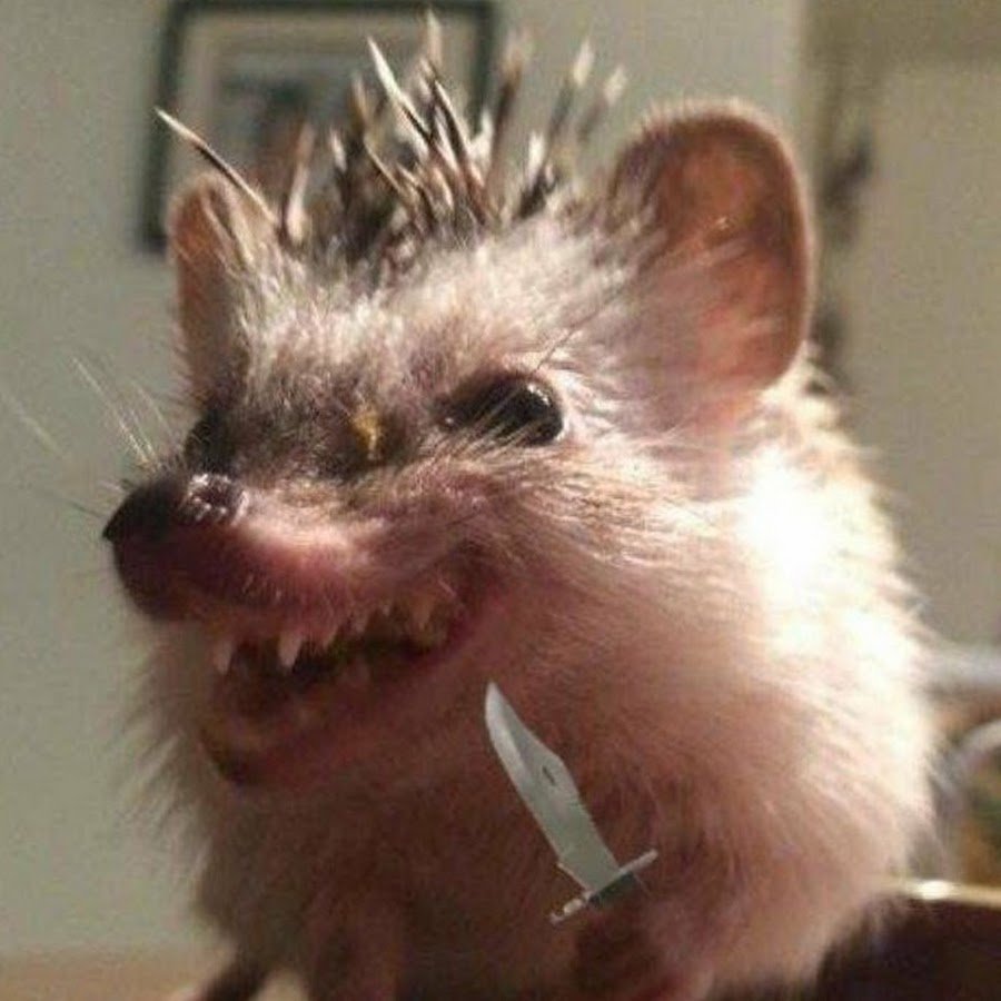 Злобный Ежик