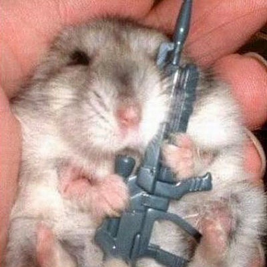 Надутый хомячок