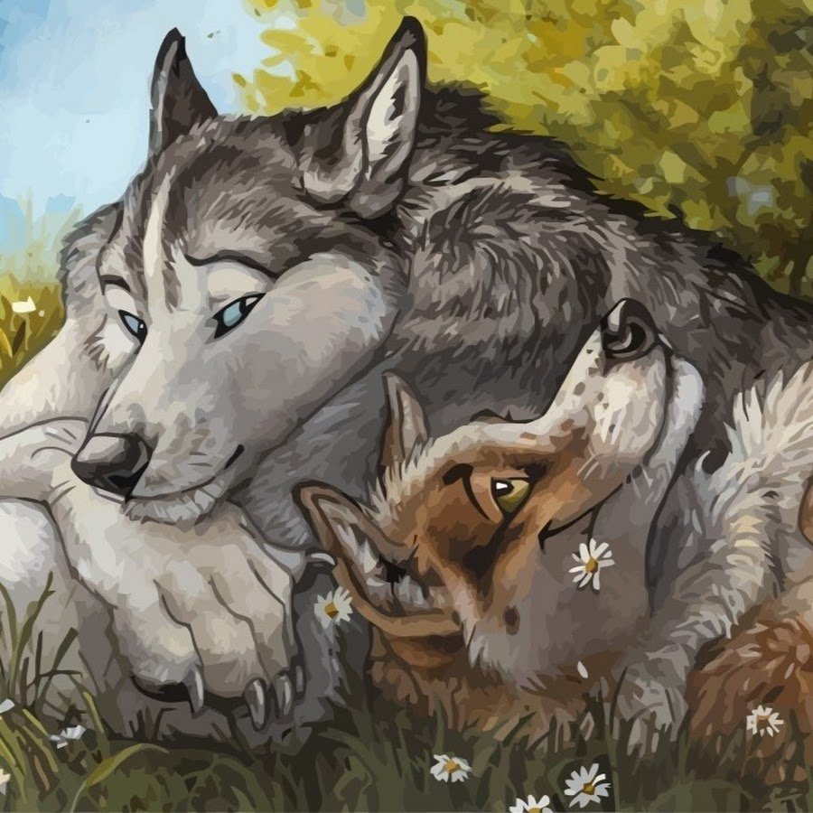 Влюбленные волки