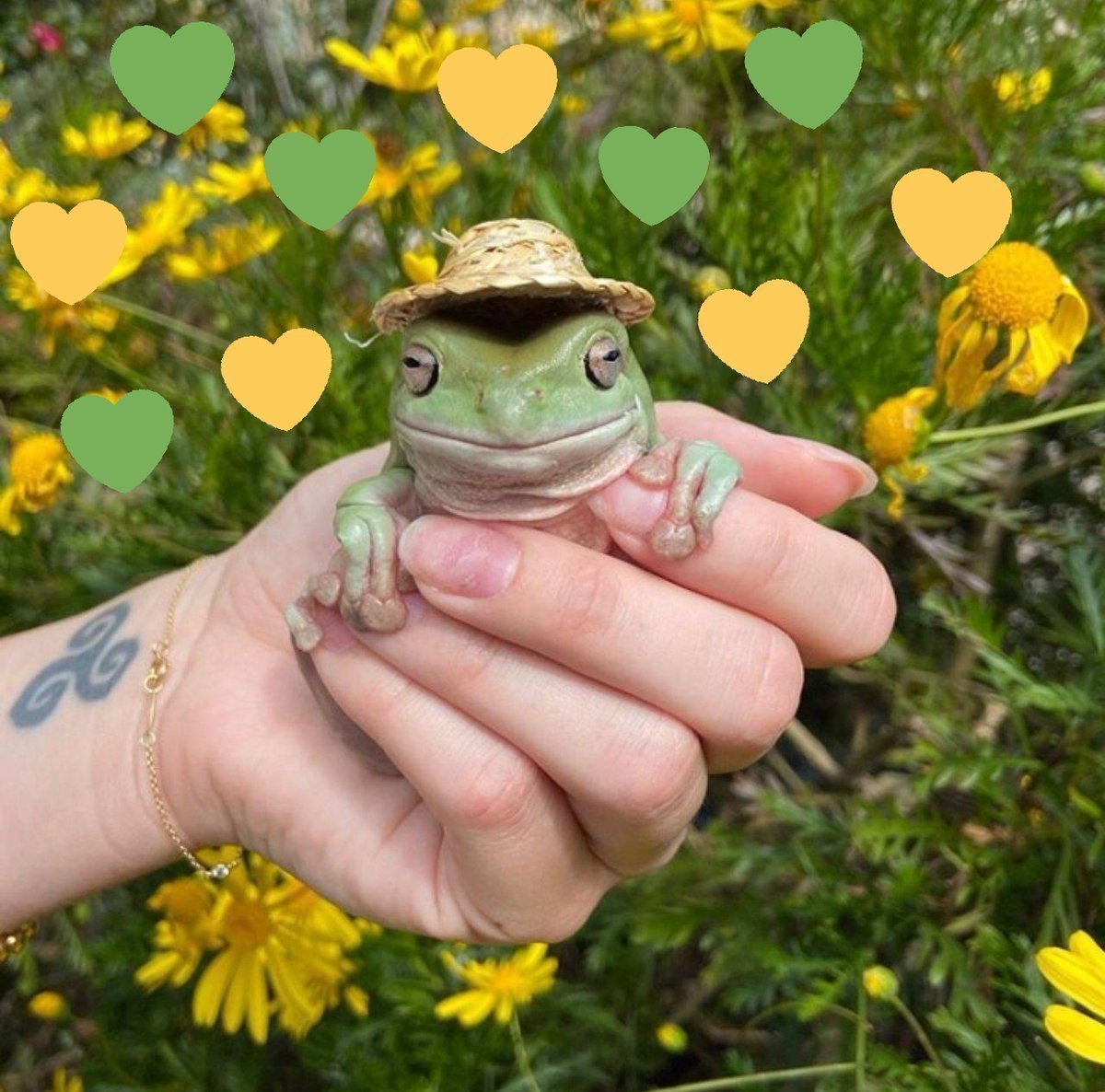 Танто Йенсен — индонезийский фотограф