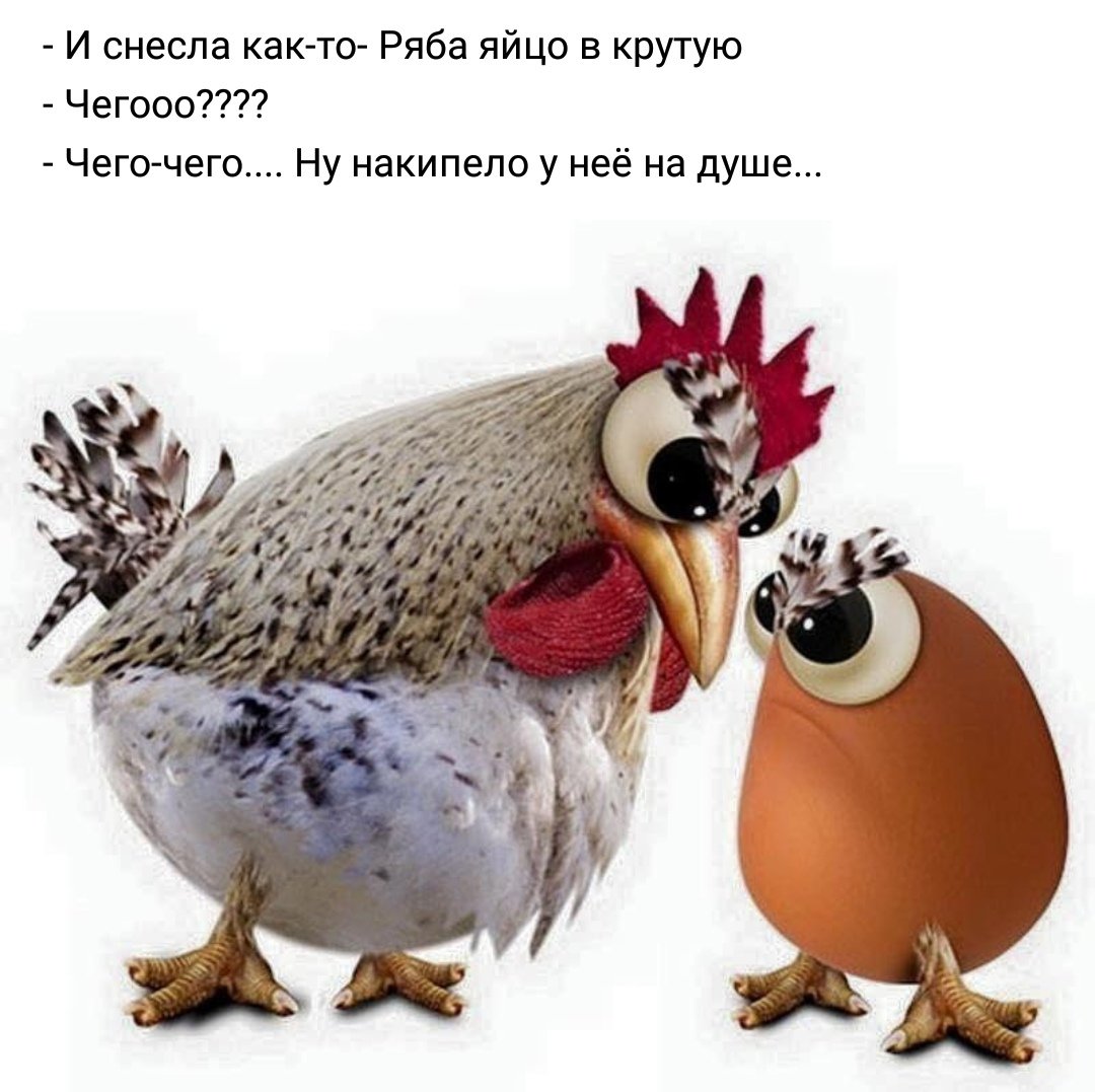 Креативная реклама курицы