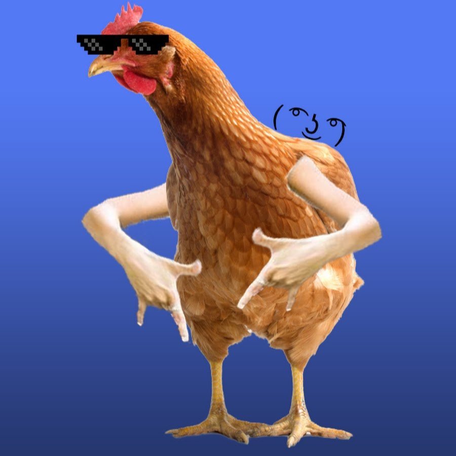 Команда петухов