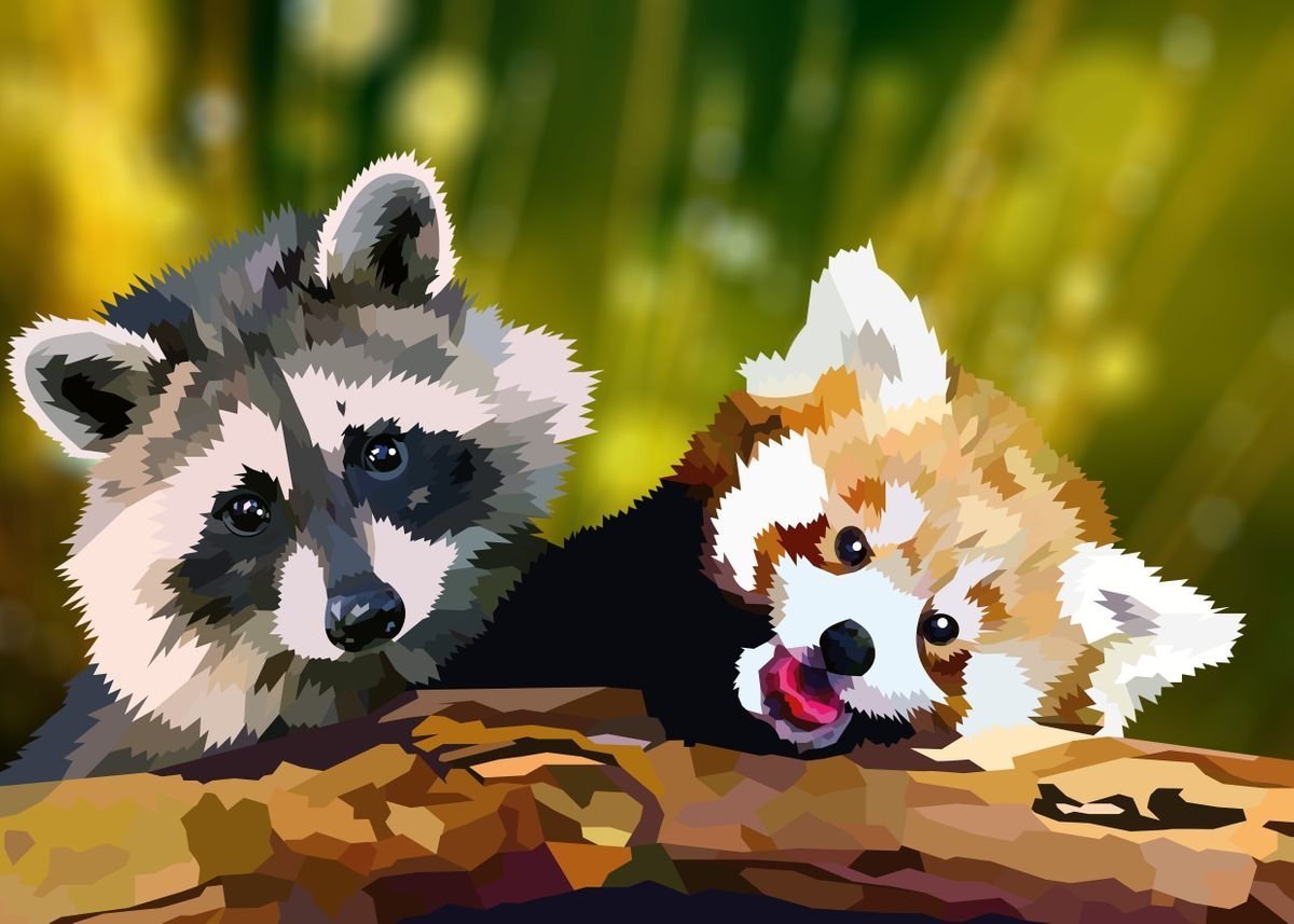 Малая Панда и енот