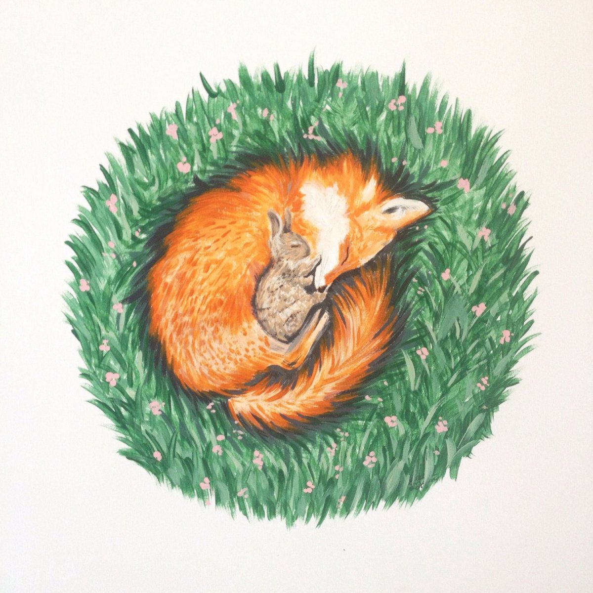 Лиса спит клубочком