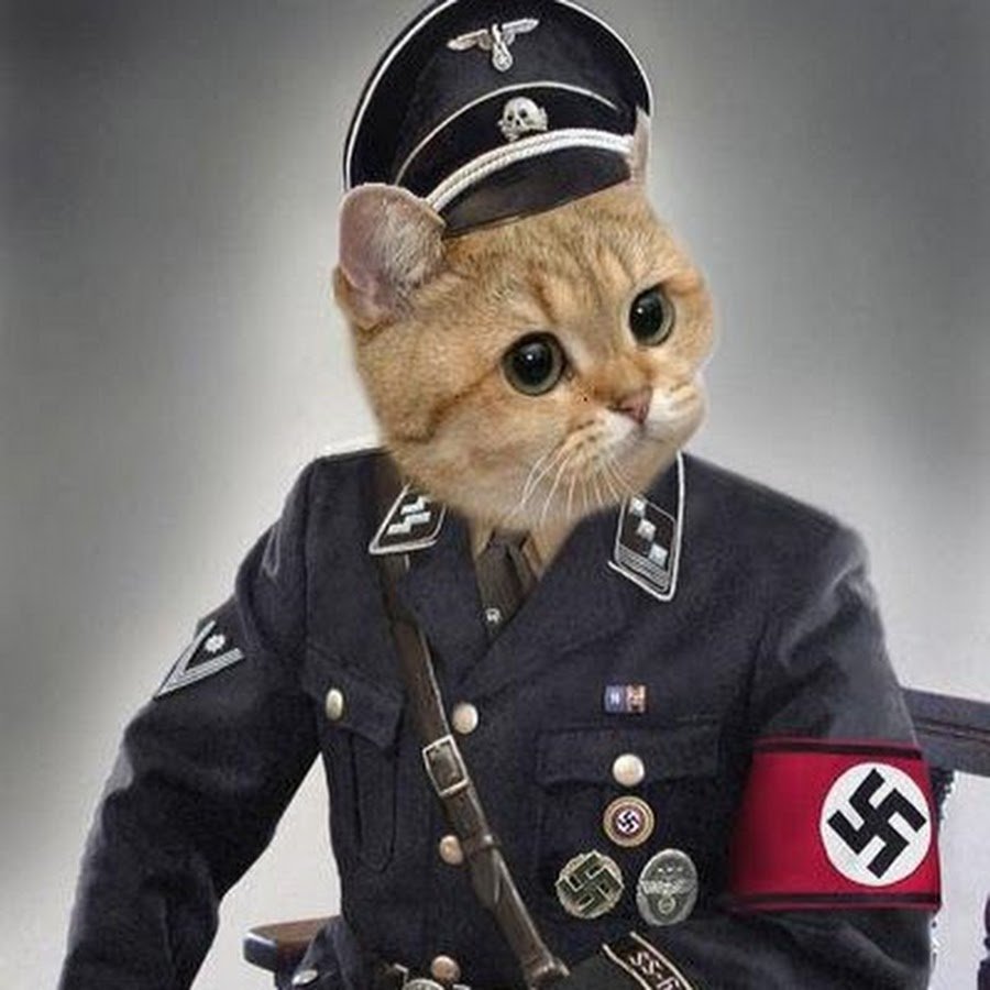 Котик фашист