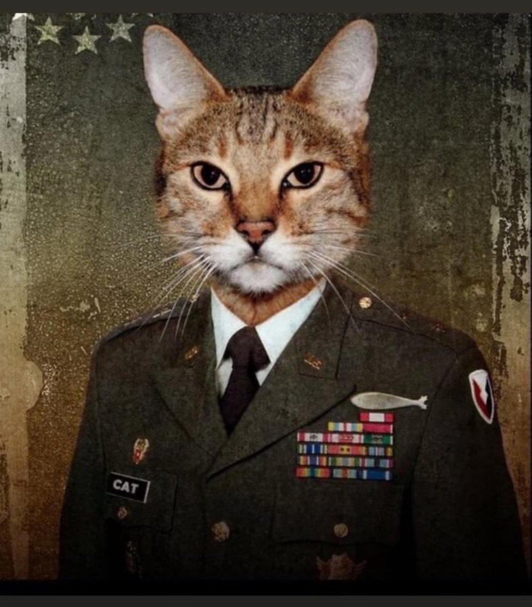 Генерал Рысик