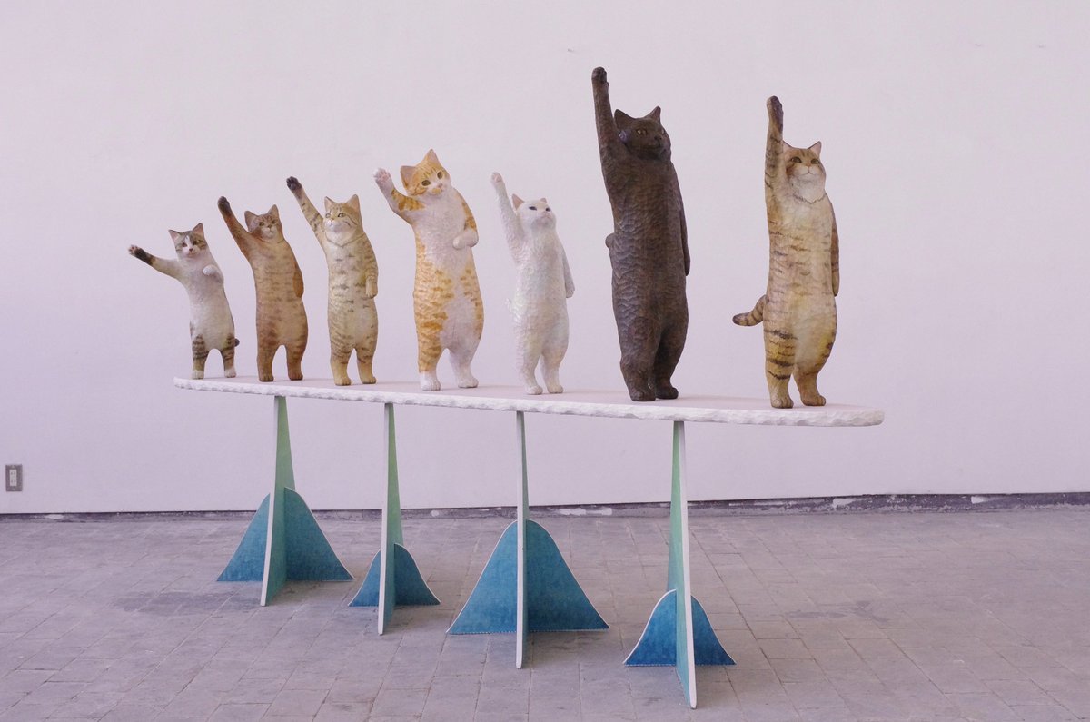 Hanafusa Sakura Cats