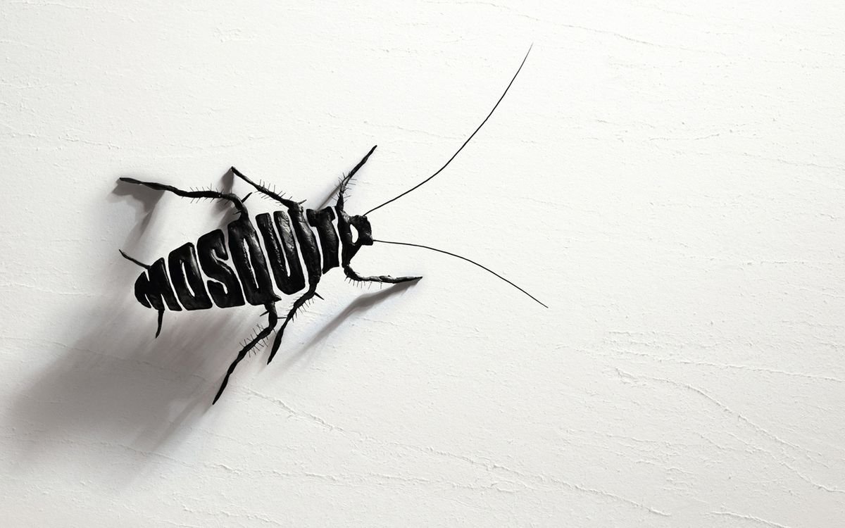 Насекомые дизайн