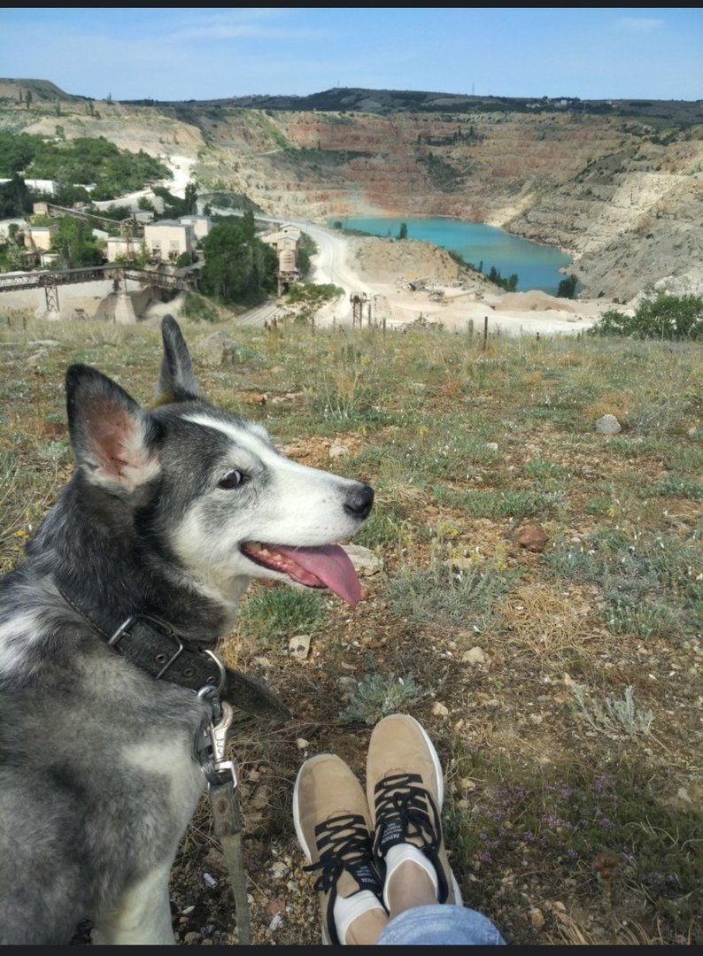 Севастополь Балаклава кошка