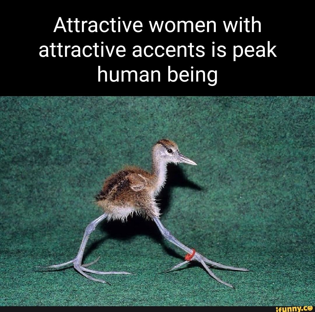 Калифорнийский заяц