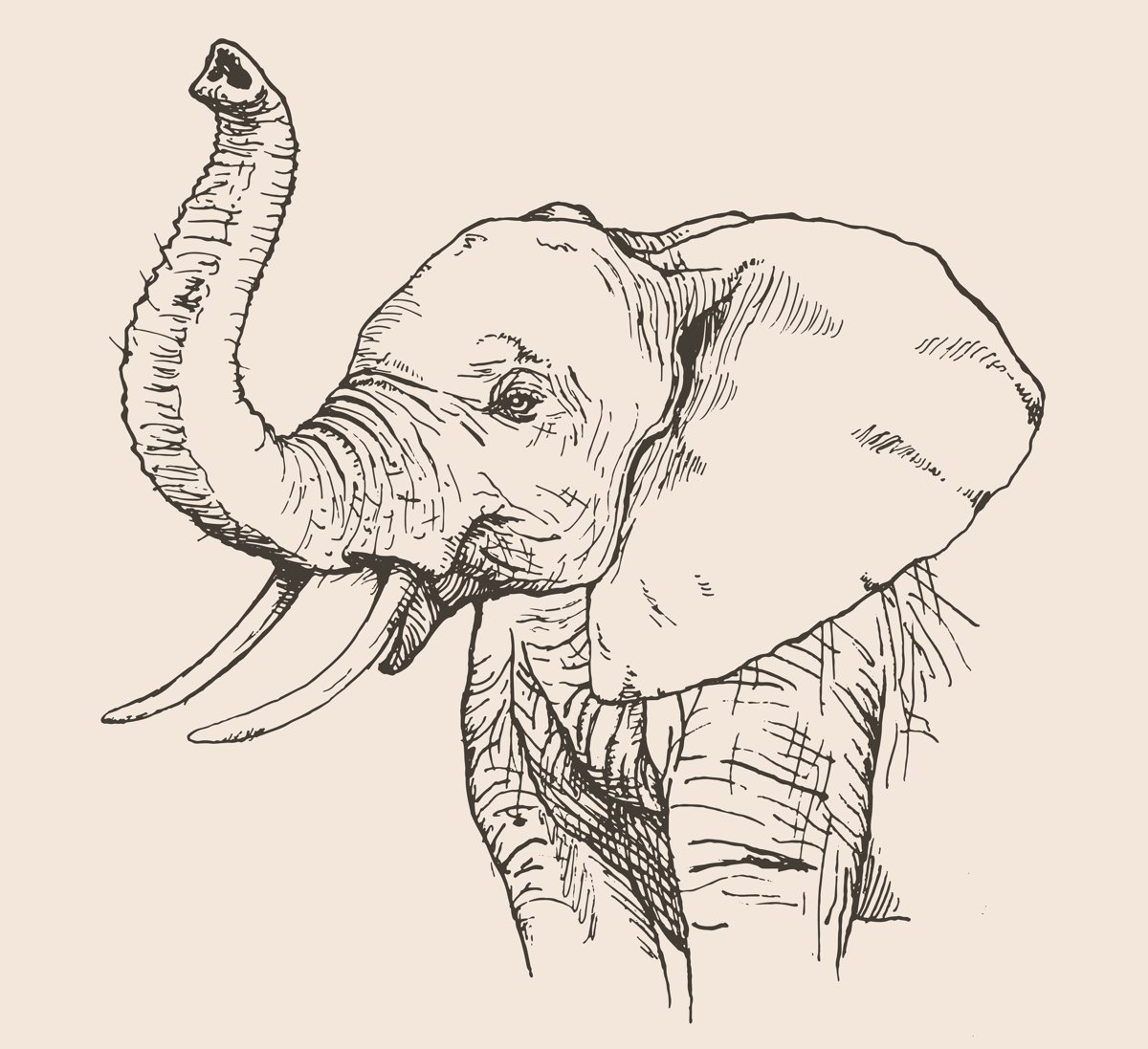 Веселый Слоник