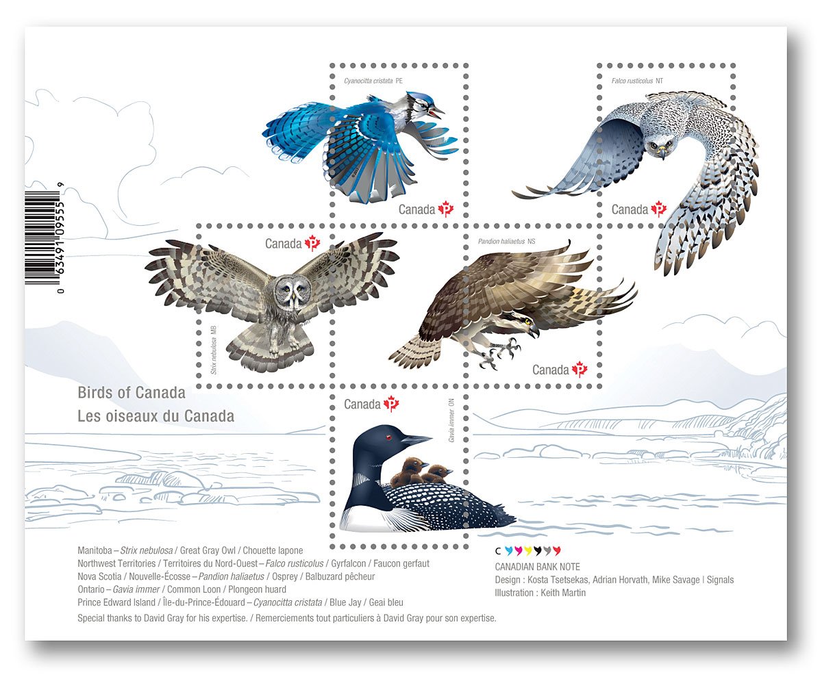 Птичка с красной головкой