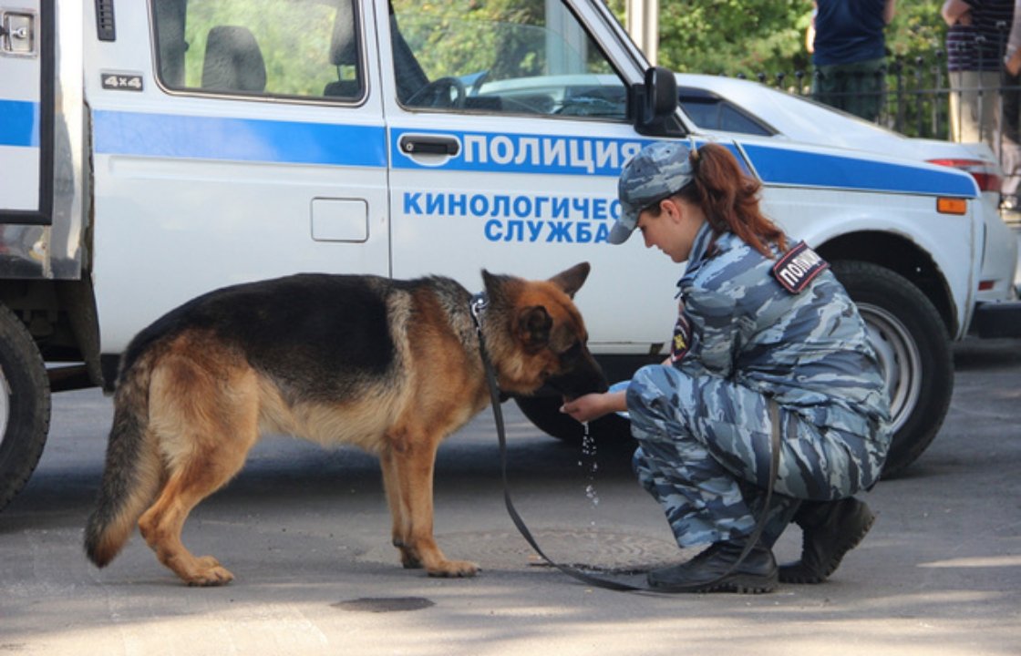 Белогурова Светлана кинолог