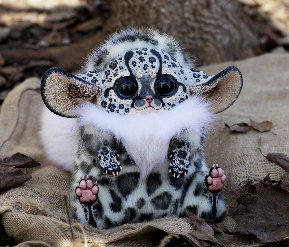 Черный слой