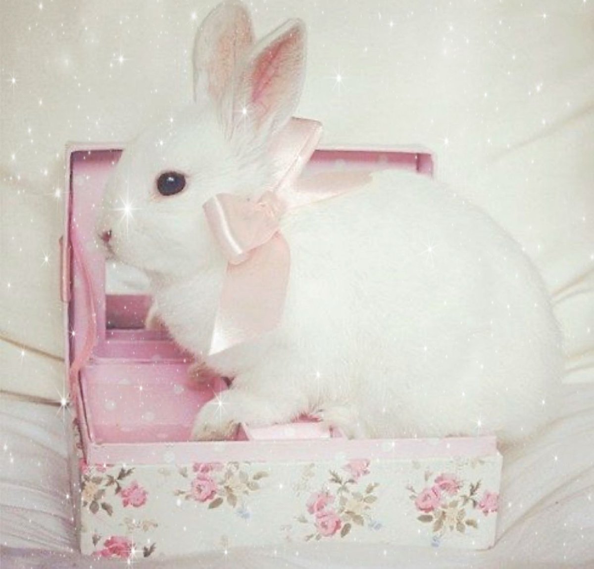 Кролик орилаг