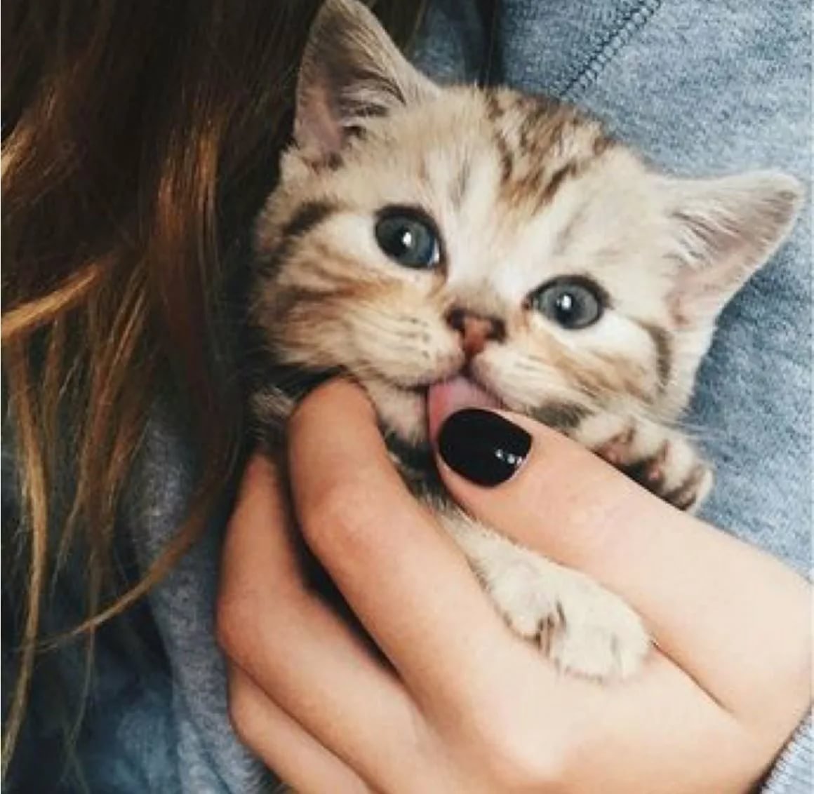 Девушка с котенком на руках