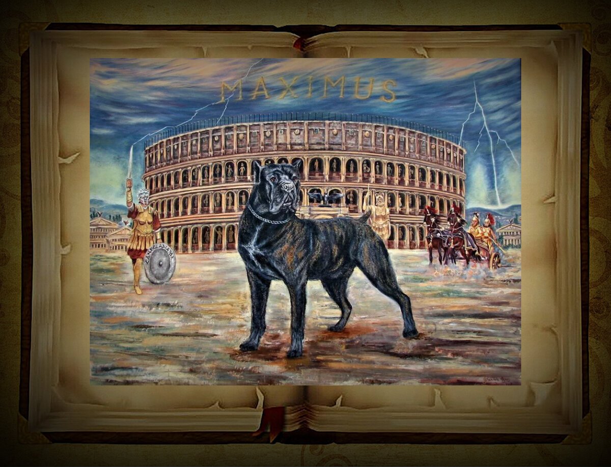 Псы в легионеры