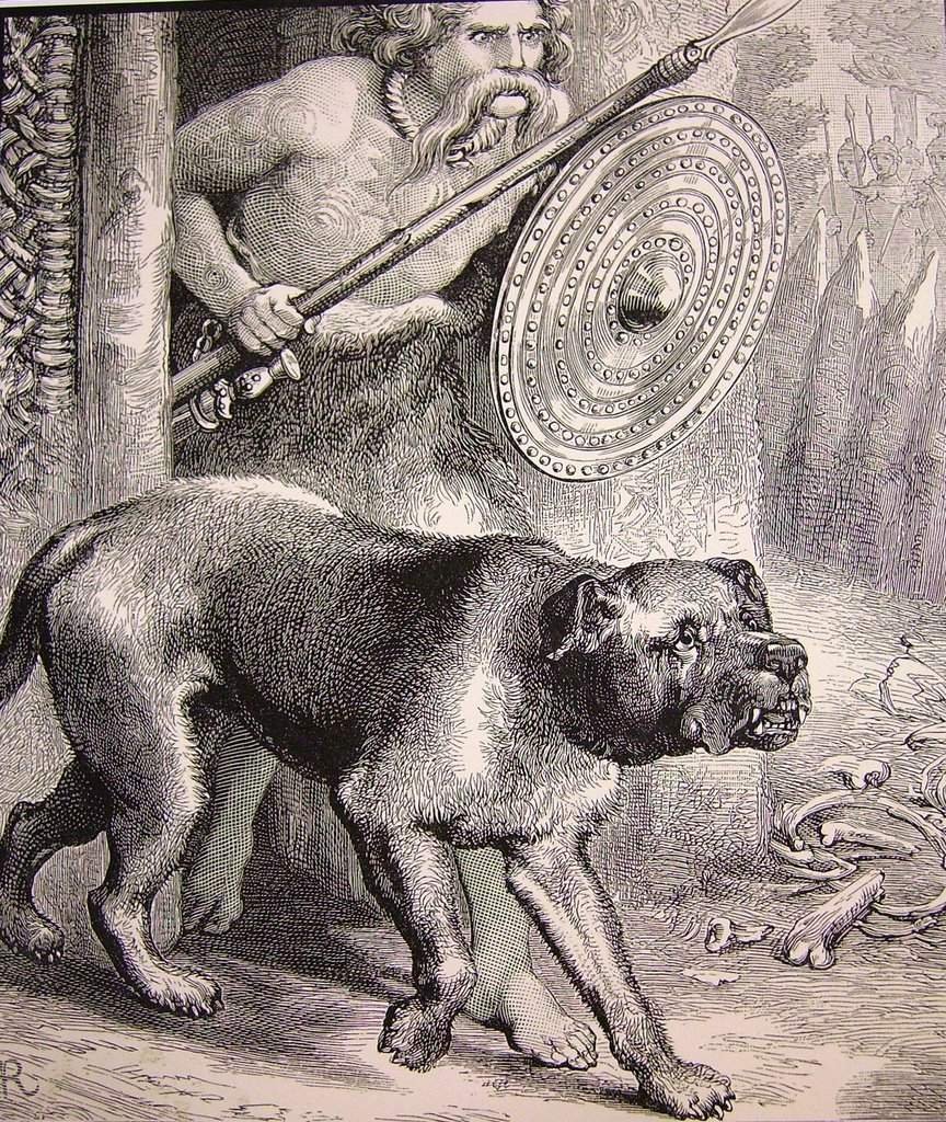 Римский Легион сзади