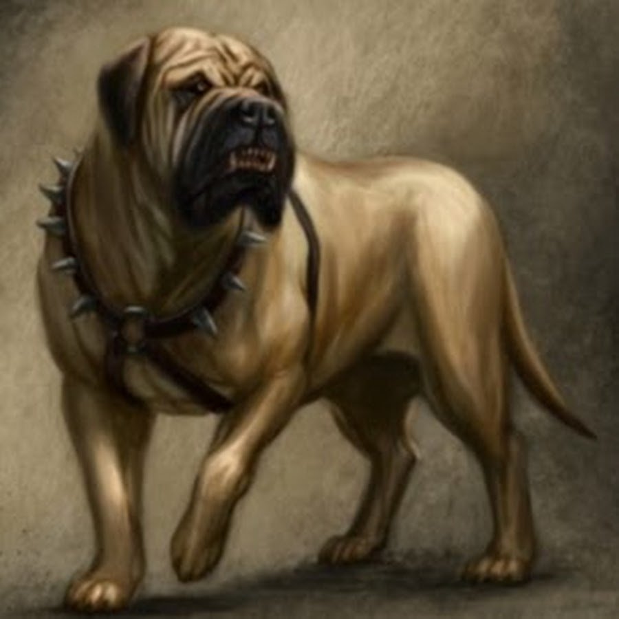 Доберман Ищейка