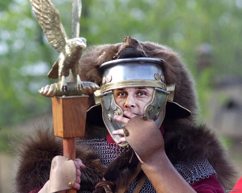 Кане Корсо и питбуль