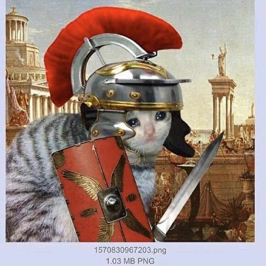 Дрессировка Кане Корсо