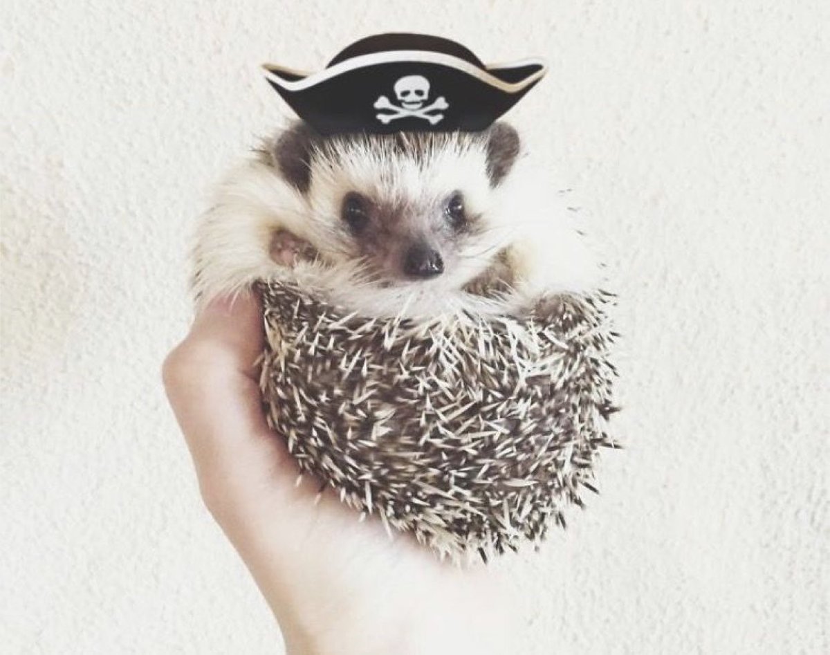 Шапка 'Ёжик'