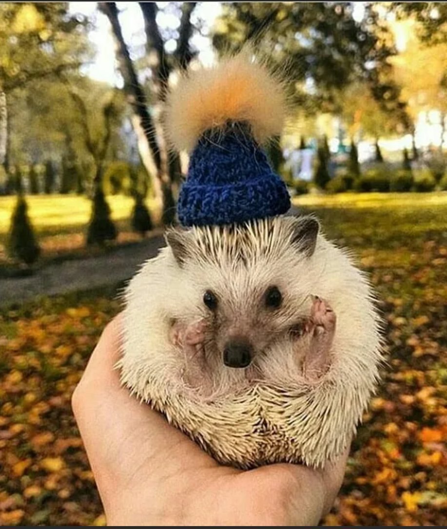 Шапка 'Ёжик'