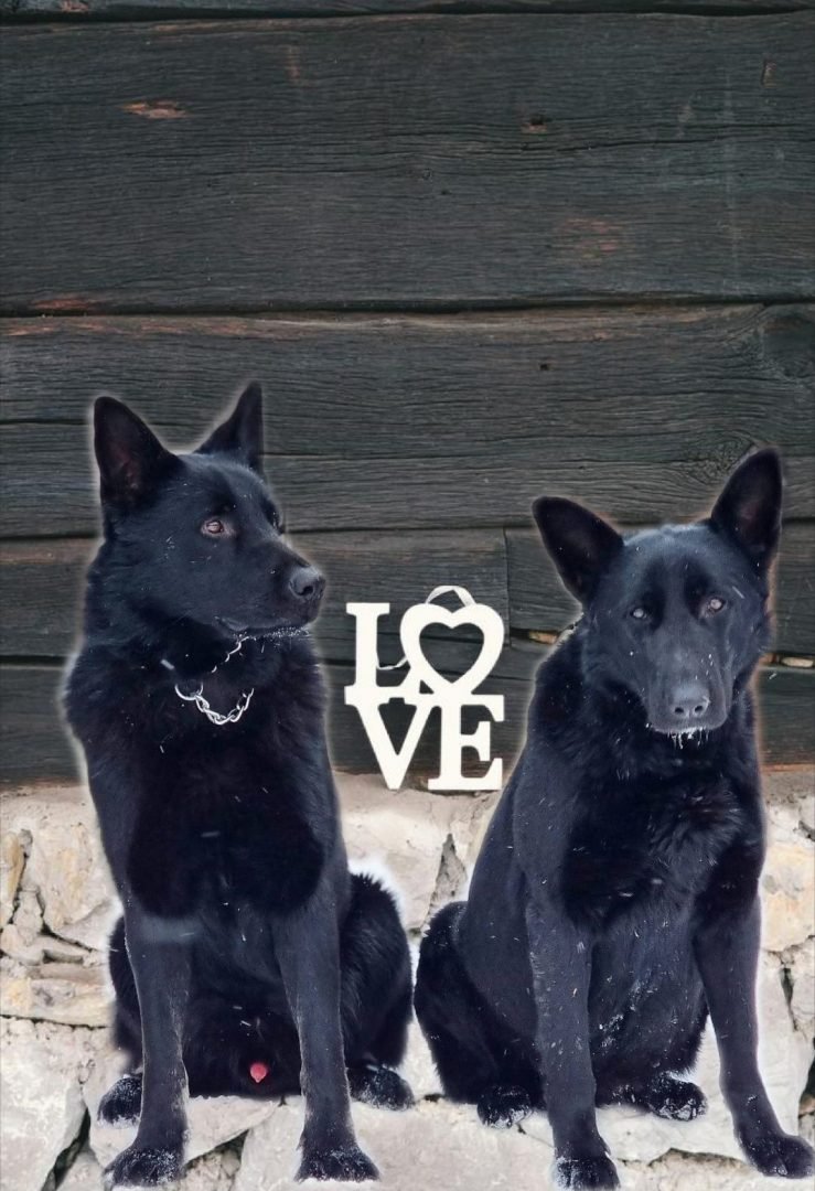 ВЕО чёрная и черпрачная любовь