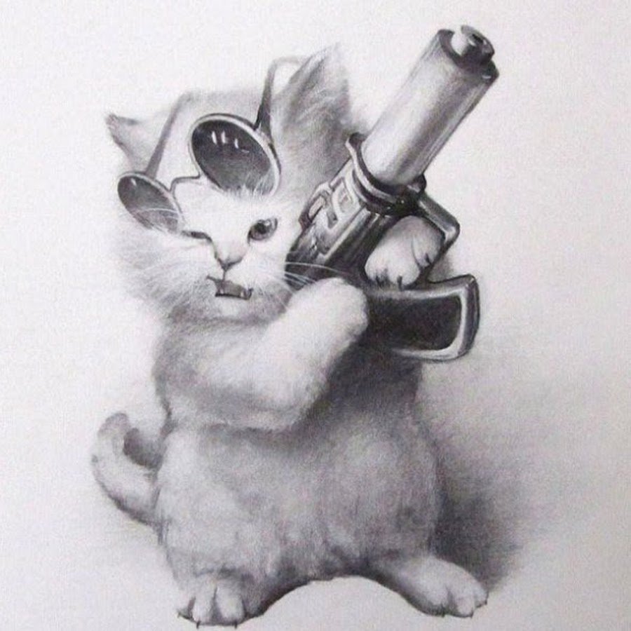 Кот с пистолетом