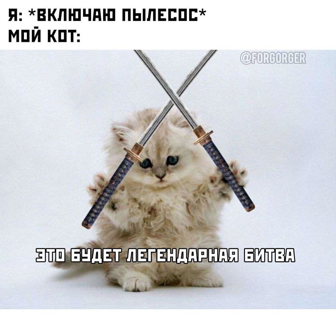 Кот со шпагой