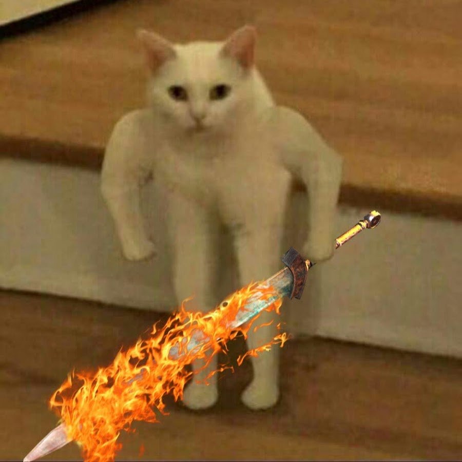 Забивной кот