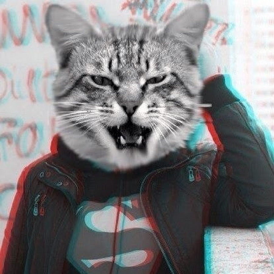 Человек с головой кота