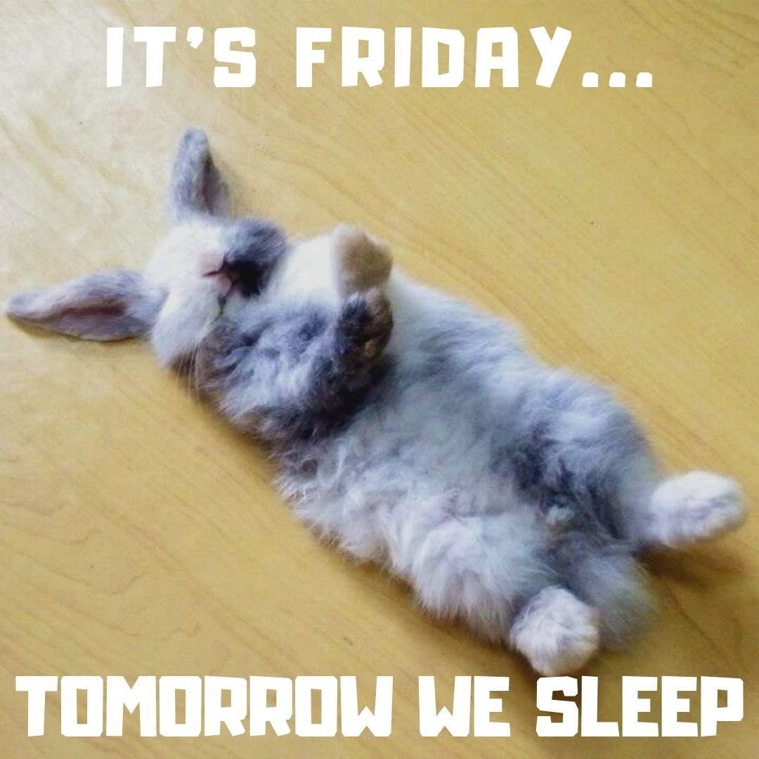 Кролик лежит на спине