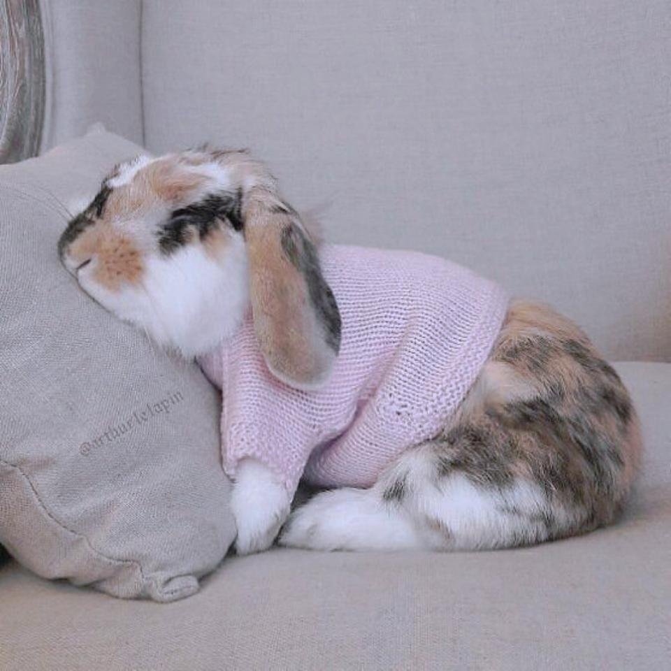 Кролик в одеялке
