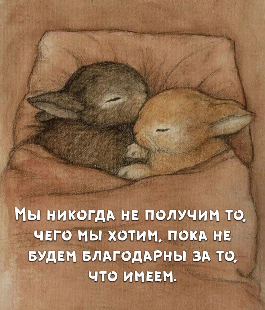 Зайчики обнимаются