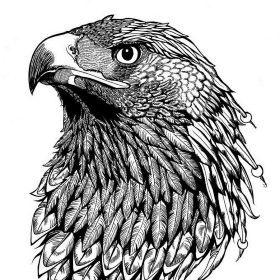 Бургут risunka