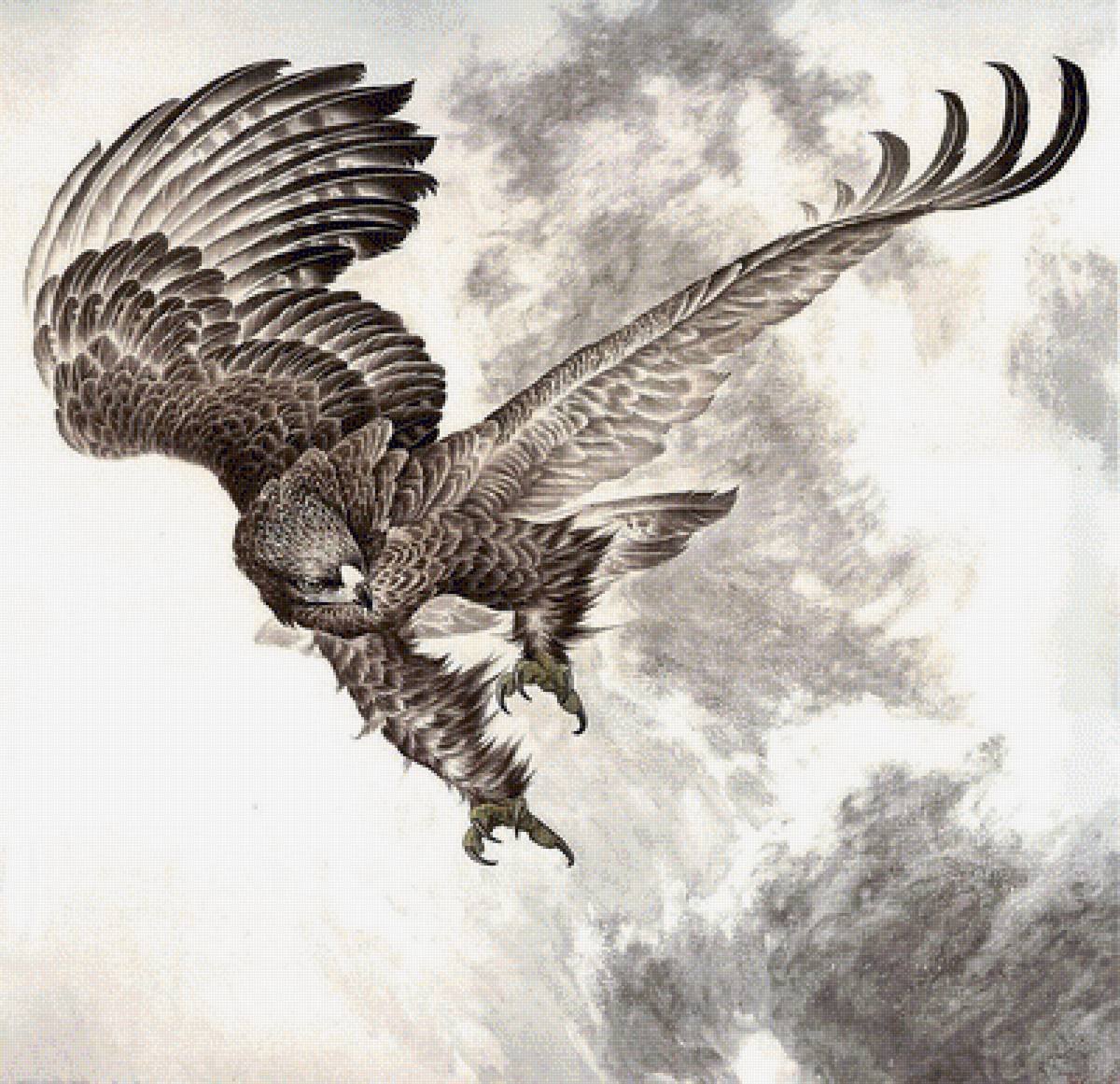 Орел в полете тату