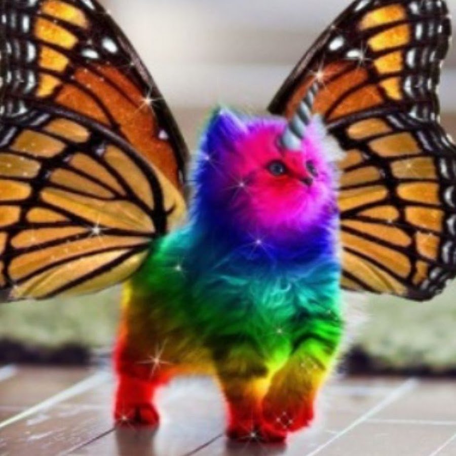 Бабочка юмор