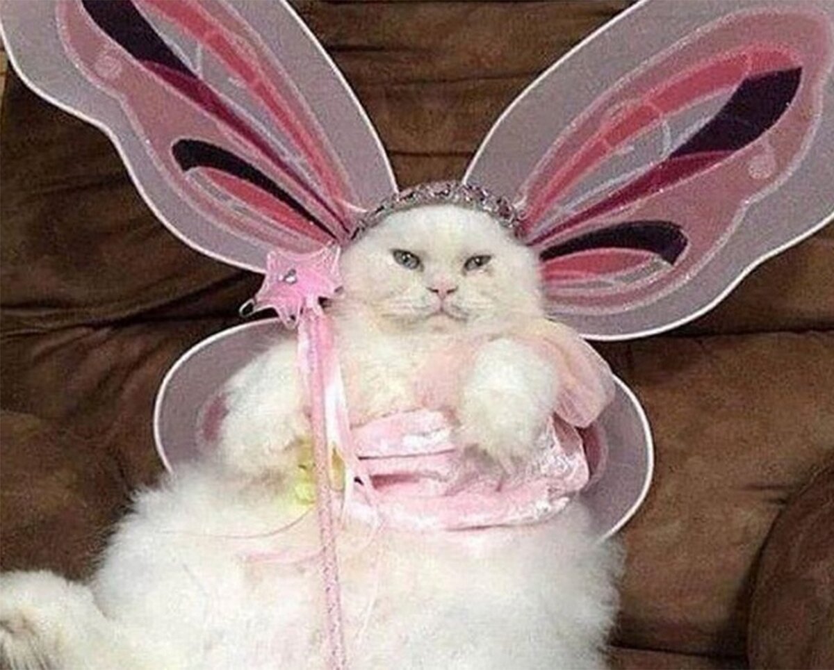 Музей живых бабочек «тропический рай»