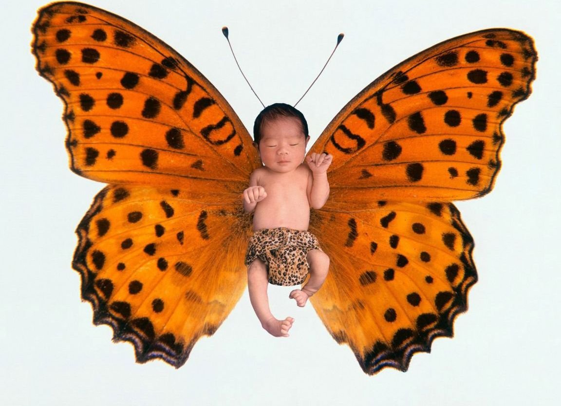 Жираф с цветком во рту