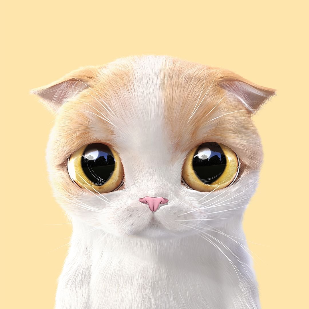 Котик с большими глазами