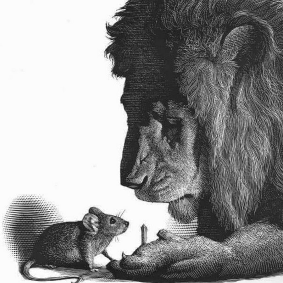 Мышиный Лев