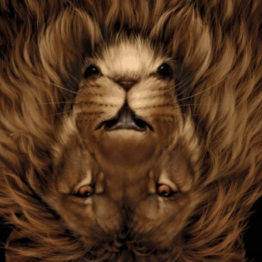 Рене Милот картины