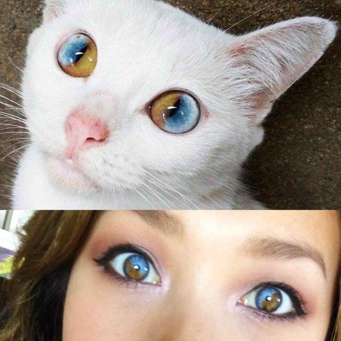 Человек с глазами кошки