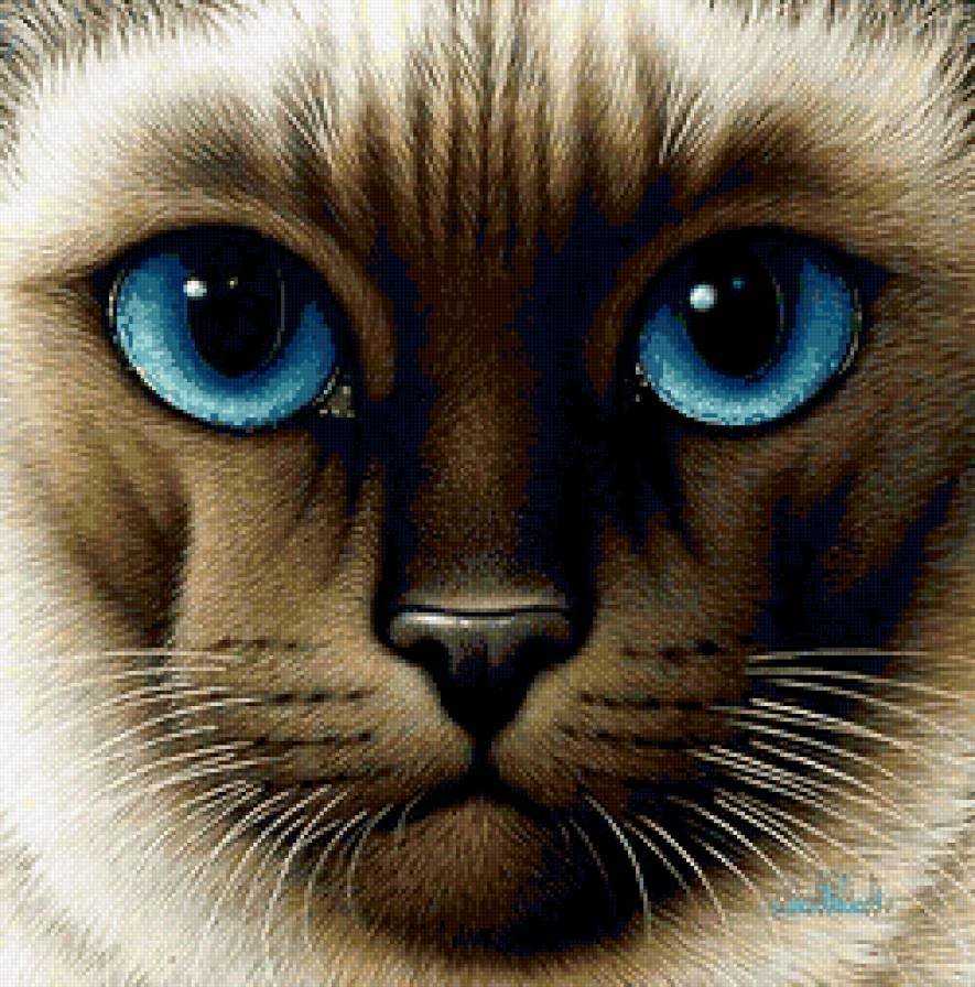 Кошачий глаз арт