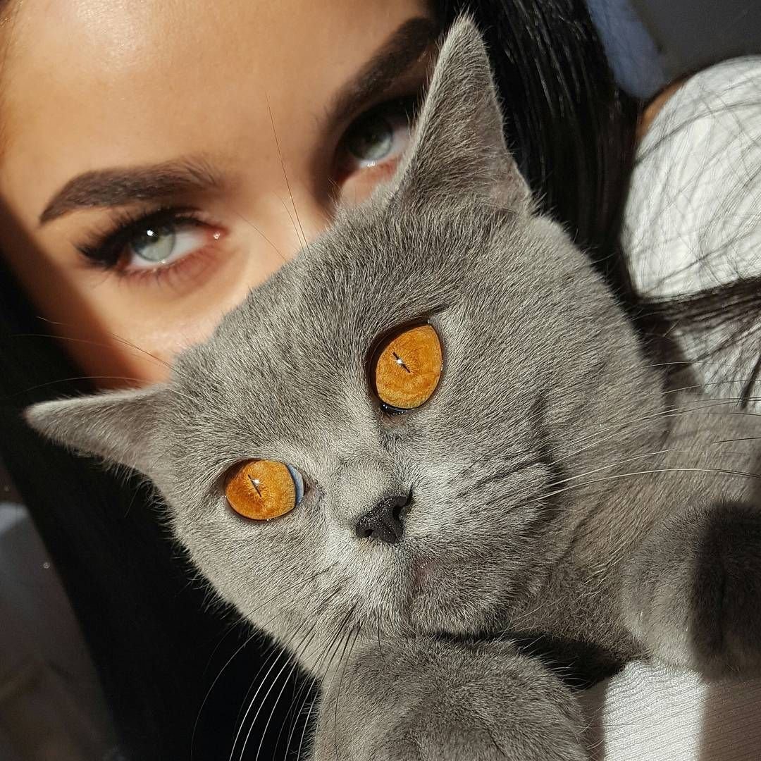 Красивая девушка с кошкой