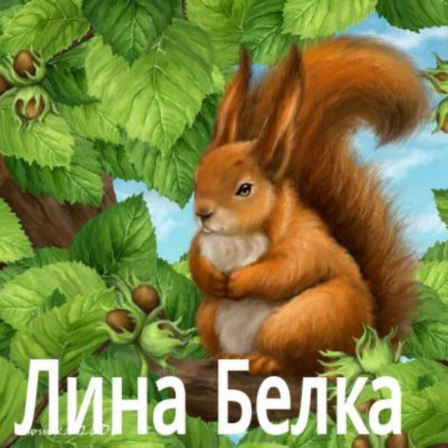 Анимация лесных животных