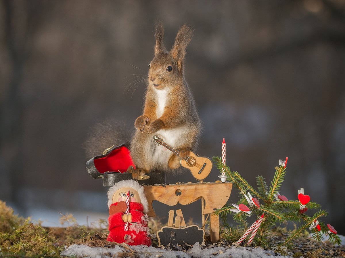 Герт Вегген фотограф из Швейцарии